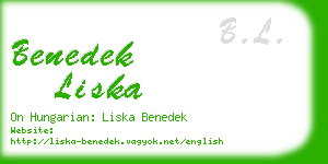 benedek liska business card